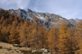 20091029_115948 Larici e piz Papalin.jpg